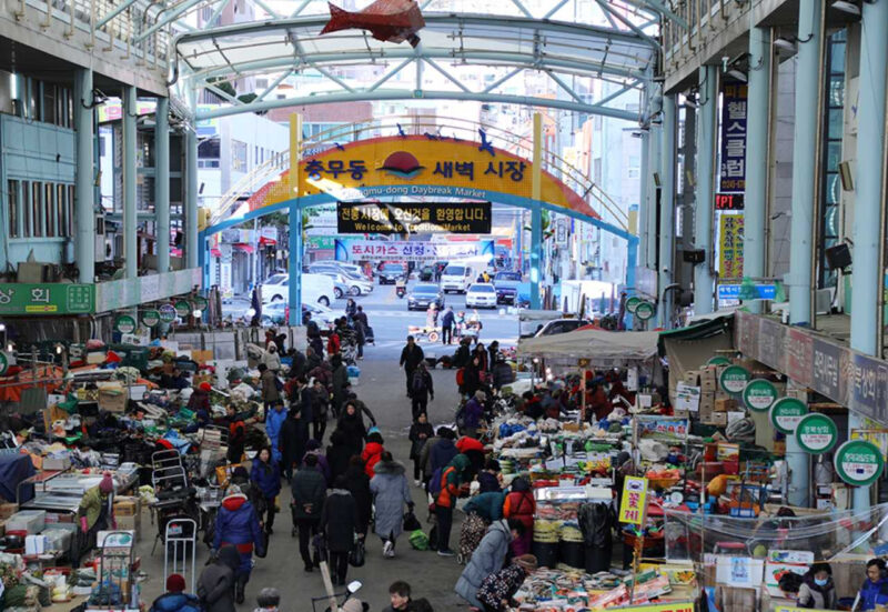 「国内水産物の30%がここから？」徒歩旅で魅了される、釜山・旧市街地の日帰り旅行
