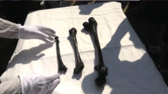 「183人が生き埋め」日本統治時代の悲劇を放送へ…SBSが親日論争俳優を擁護する一方で浮き彫りになる矛盾