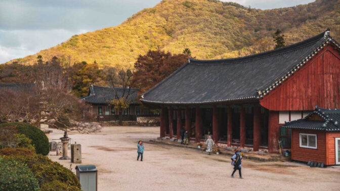 山寺に広がる赤い風景の正体とは？