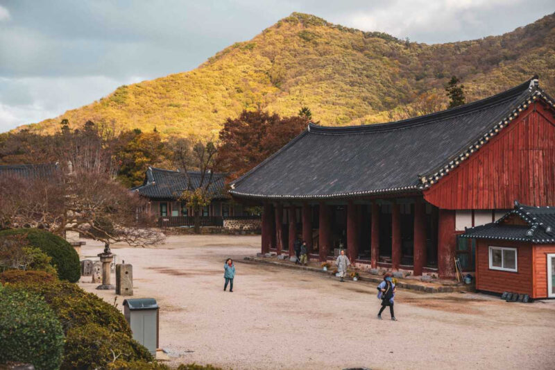 山寺に広がる赤い風景の正体とは？
