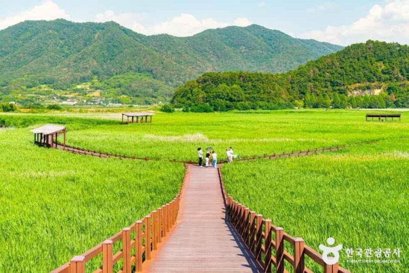 ススキだけで160万坪…秋になると観光客が殺到する絶景スポット
