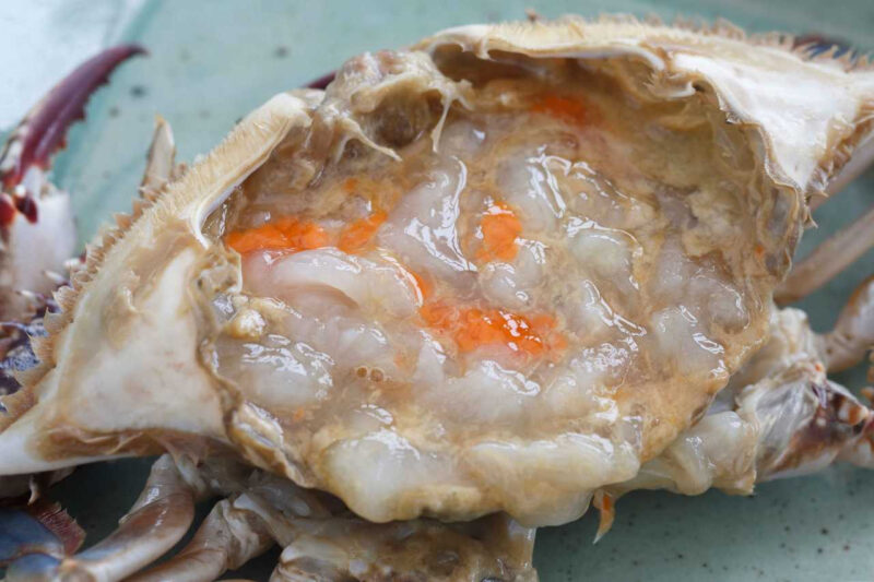 身が詰まった旬の西海岸産ワタリガニ、腹の形で見分ける「極上の逸品」の選び方