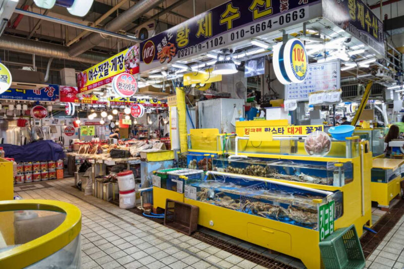 身が詰まった旬の西海岸産ワタリガニ、腹の形で見分ける「極上の逸品」の選び方