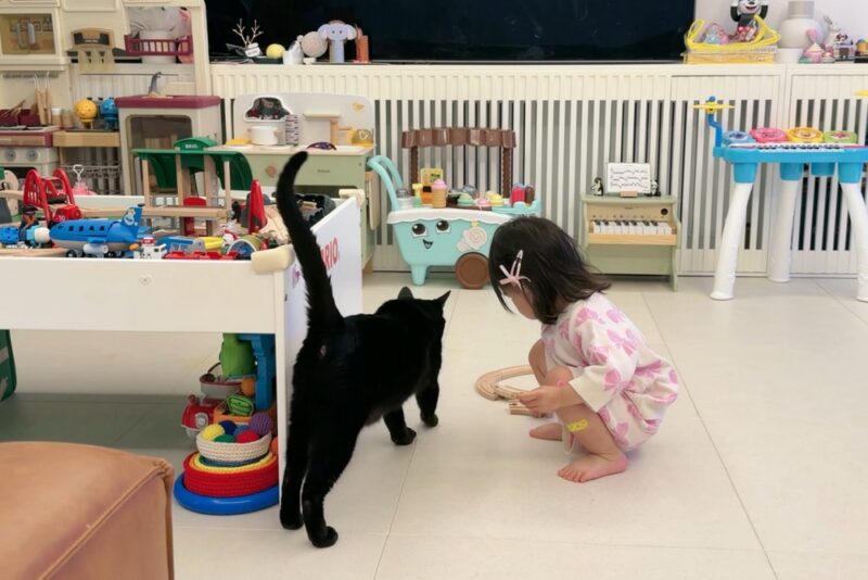 「最近はこのように過ごしています」…機内迷惑騒動のパク・スホン、3週ぶりに復帰→姿はなし