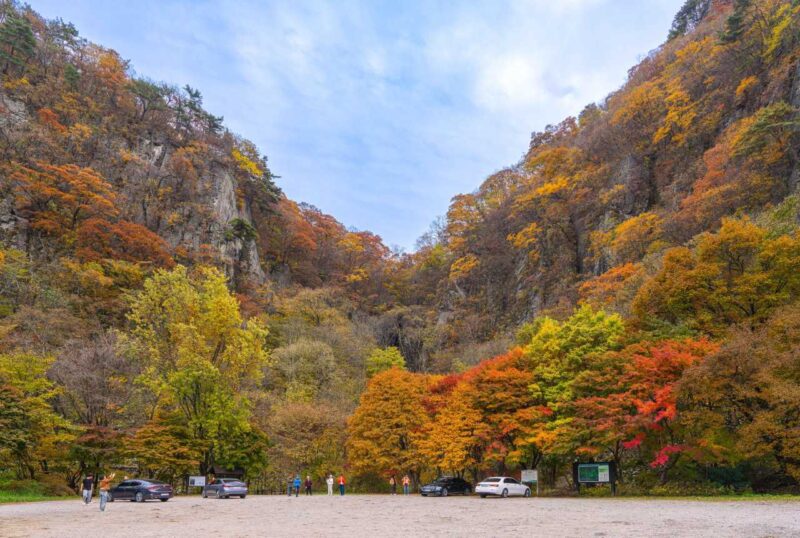 「地球温暖化が怖い」2026年の紅葉見頃予想は？