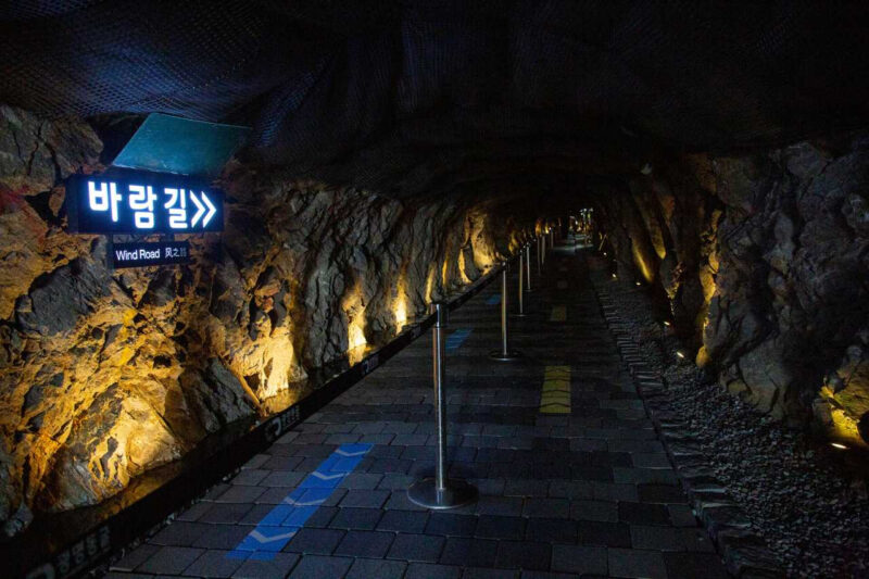 京畿道西部圏の広域テーマバス、11月まで8路線で運行へ