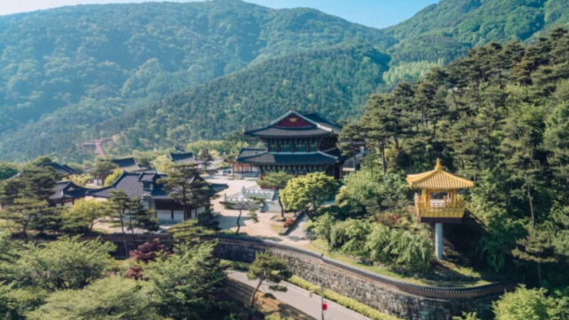 「黄金の亀」のパワーを授かる？政府も惚れ込んだ韓国の韓医学ヒーリング旅