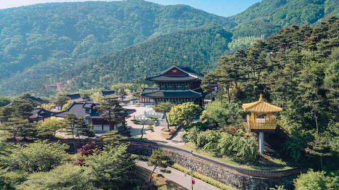 「黄金の亀」のパワーを授かる？政府も惚れ込んだ韓国の韓医学ヒーリング旅
