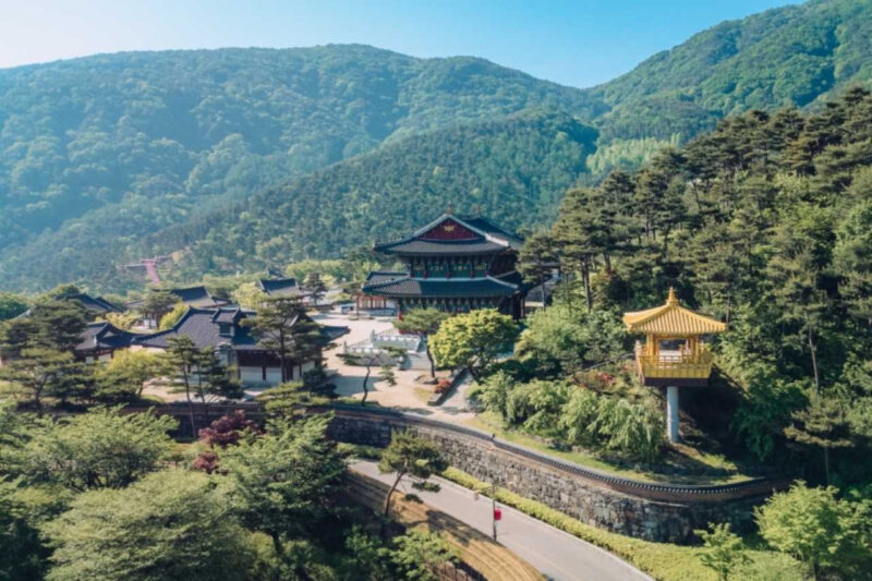 「黄金の亀」のパワーを授かる？政府も惚れ込んだ韓国の韓医学ヒーリング旅