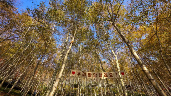 紅葉の季節に全国から人が殺到！「絶景スポット」のベストな訪問時期は？