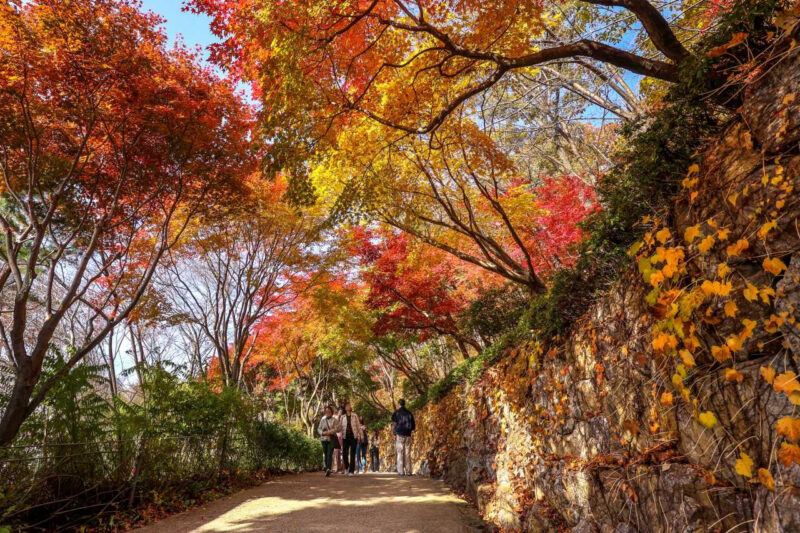 紅葉の季節に全国から人が殺到！「絶景スポット」のベストな訪問時期は？