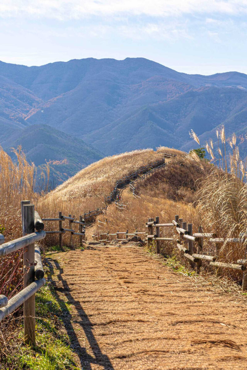山頂がハゲ山に…10月が待ち遠しい名山