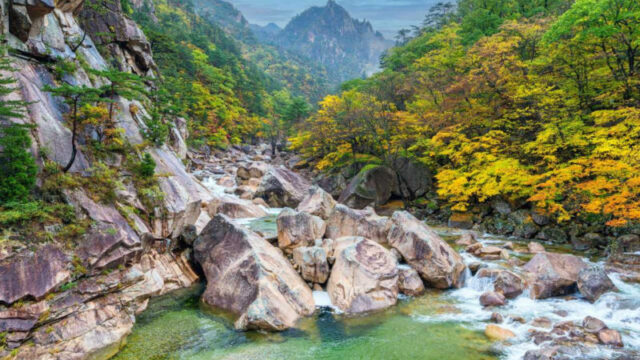 登山の専門家も惚れ込んだ、秋の名山BEST