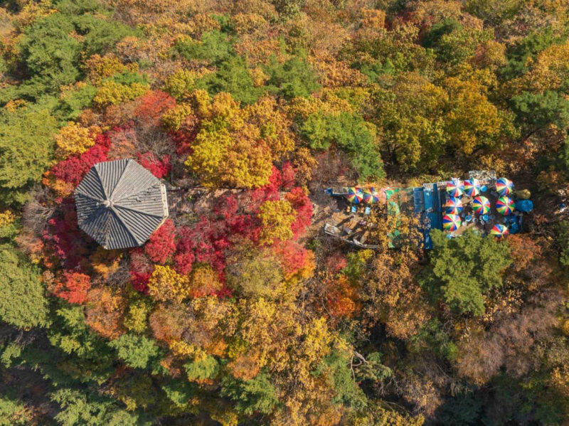 登山の専門家も惚れ込んだ、秋の名山BEST