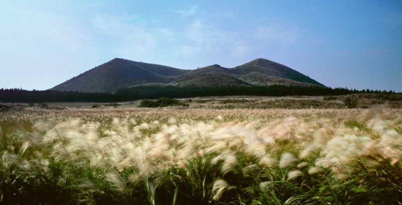 済州島へ行ったら、何もしなくていいんです