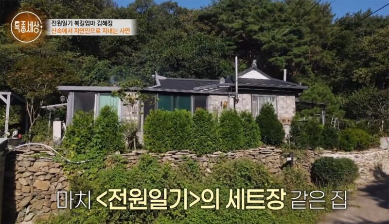 1000坪を超える山奥で一人暮らし…元国民的女優が自ら建てたマイホーム