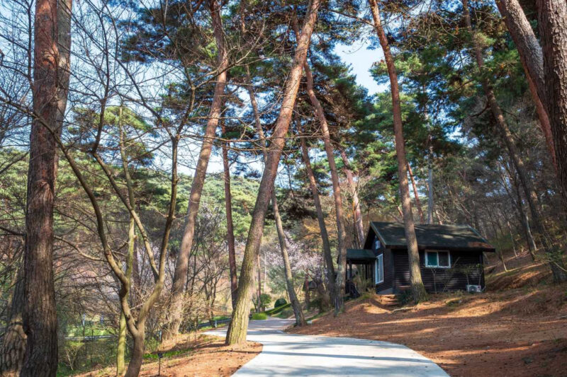「夕日&干潟より最高」泰安(テアン)旅行、海辺のペンションをキャンセルしてでも行きたい絶景コース