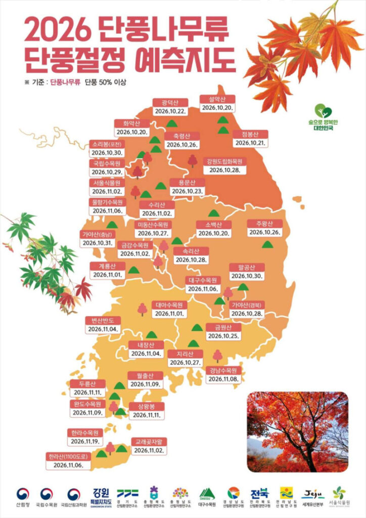 紅葉と銀杏の季節、2026年韓国の紅葉見頃はいつ？