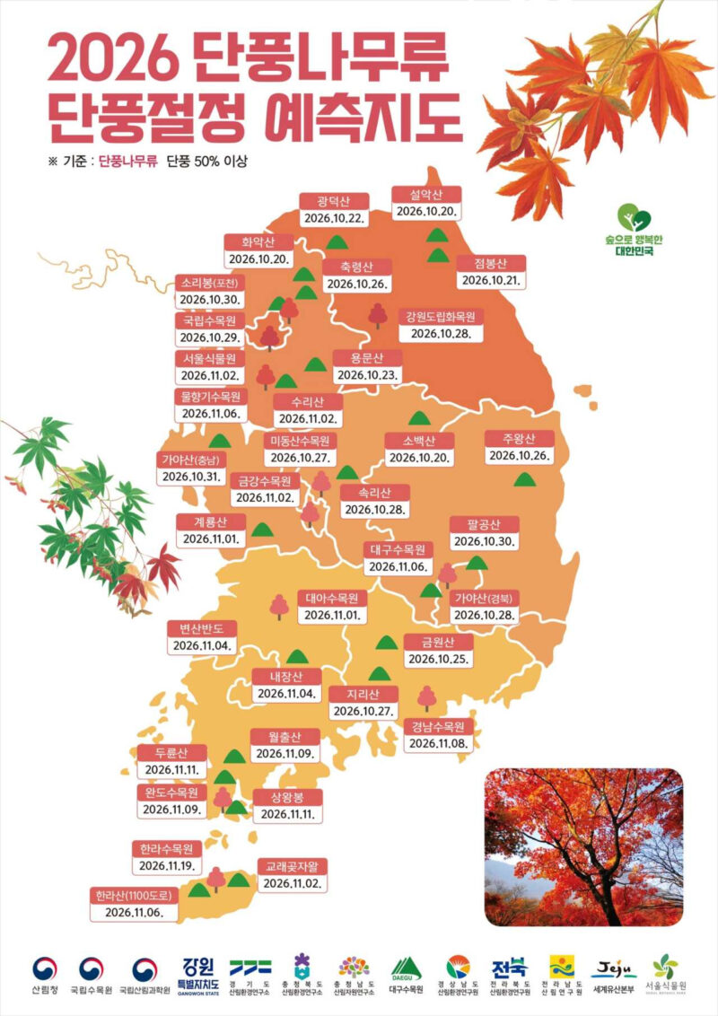 紅葉と銀杏の季節、2026年韓国の紅葉見頃はいつ？