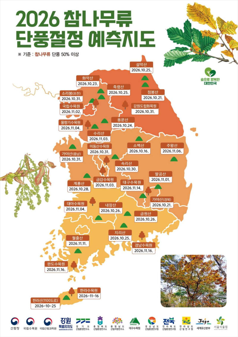 紅葉と銀杏の季節、2026年韓国の紅葉見頃はいつ?