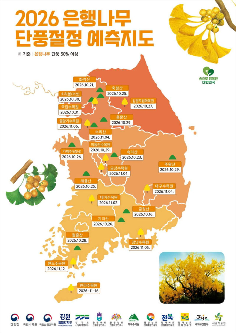 紅葉と銀杏の季節、2026年韓国の紅葉見頃はいつ?