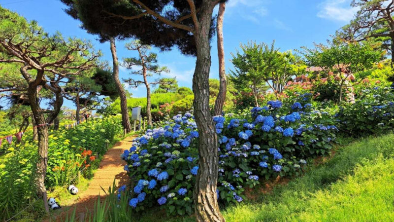 韓国国民が選んだ「最高の庭園」30選