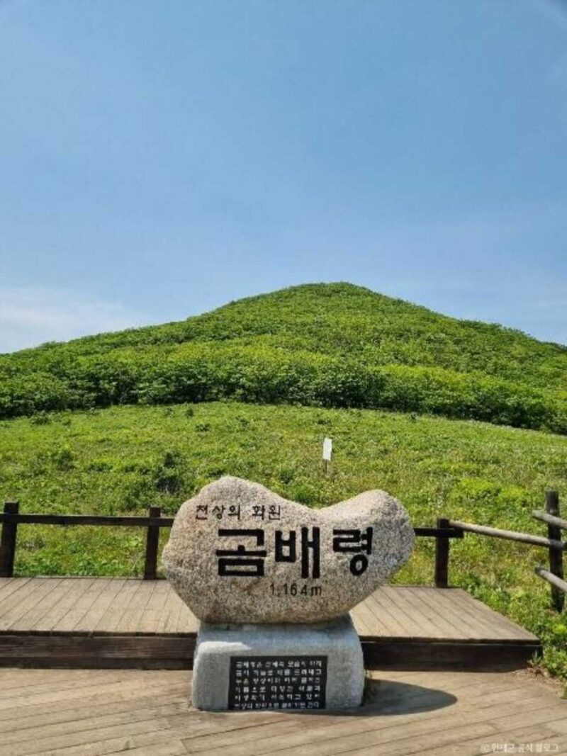 「先着順」水曜午前9時、登山愛好家は要チェック