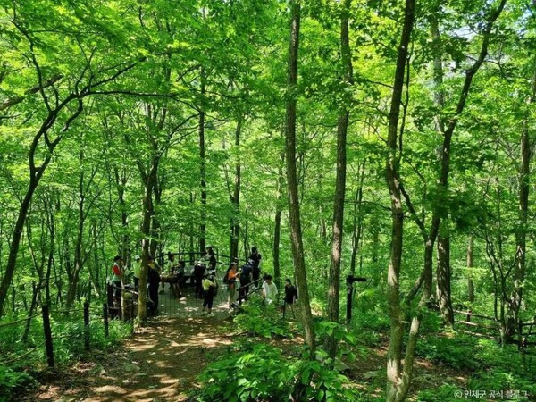 「先着順」水曜午前9時、登山愛好家は要チェック