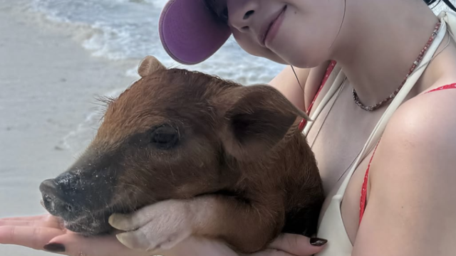 aespaカリナ、バハマでの休日を公開！赤ビキニ姿と子豚とのショットが話題に
