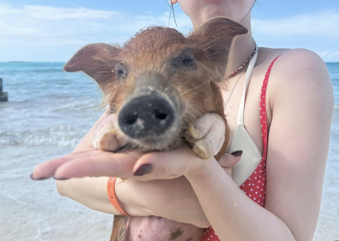 aespaカリナ、バハマで赤ビキニ姿を披露…子豚とのツーショットが話題