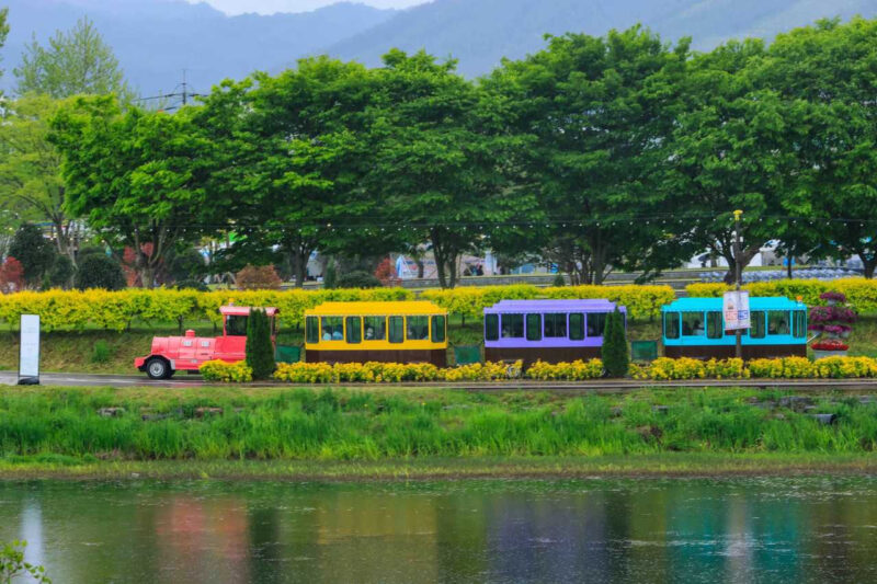 戦車が走った地に花が咲く？10月のおすすめ旅行先