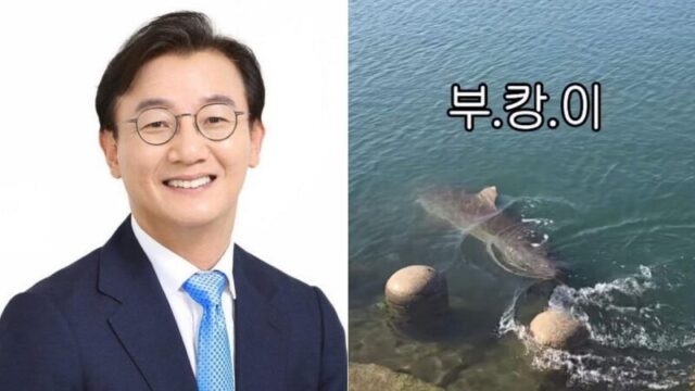 全在洙議員、「プカンイ」広報大使に就任…地元で大きな話題に