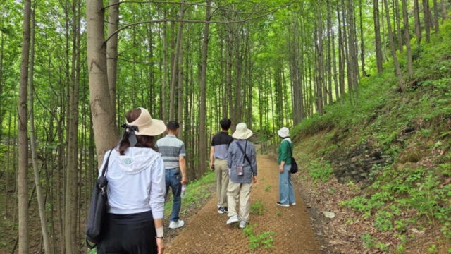 普段は入れない「秘密の森」を特別開放、慶南道の試験林で10月31日まで