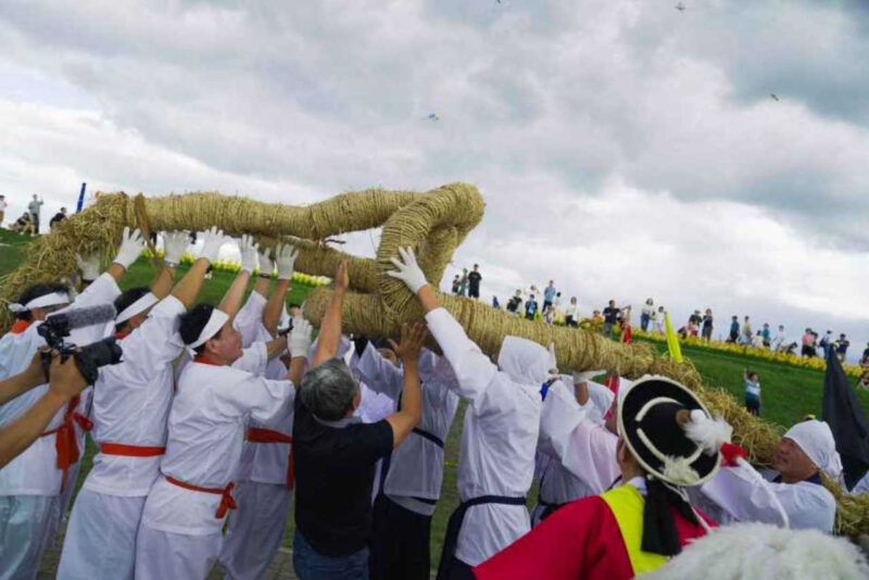 自ら米を炊きイナゴも捕獲、5日間の収穫祭に密着