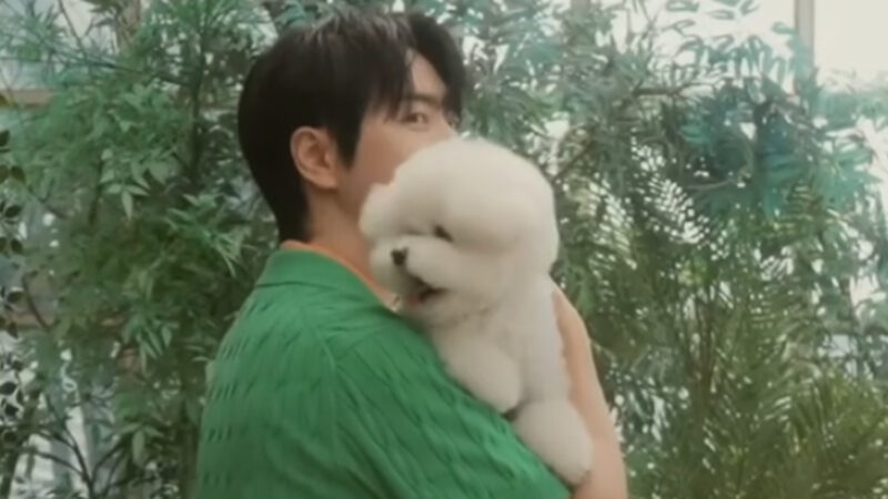 愛犬との突然の別れを乗り越えて。韓国俳優イ・ジュンヒョクが自ら開発した「特別な追悼ゲーム」に感動広がる