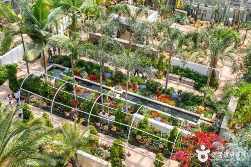 夜9時まで楽しめる！魅力満載の絶景植物園