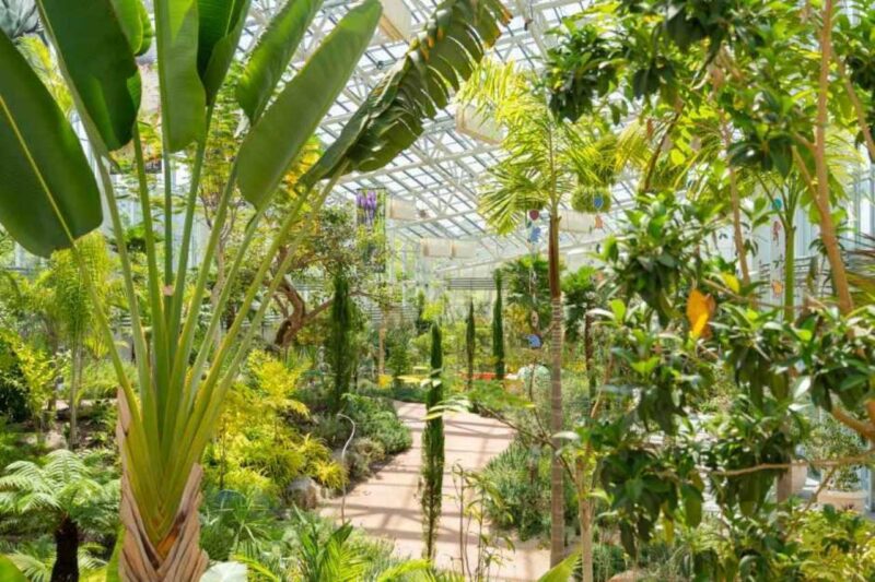 夜9時まで楽しめる！魅力満載の絶景植物園