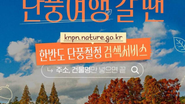 自宅の住所を入力するだけ！紅葉の見頃を「5秒」でチェック