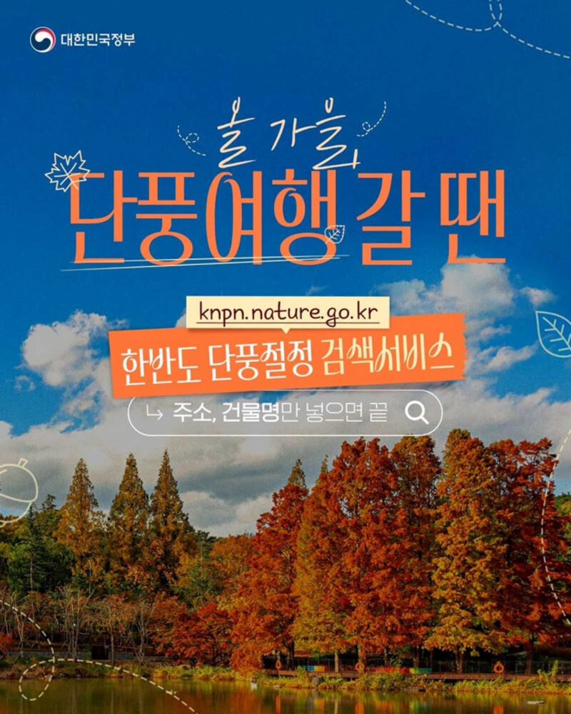 自宅の住所を入力するだけ！紅葉の見頃を「5秒」でチェック