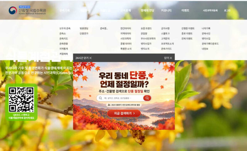 自宅の住所を入力するだけ！紅葉の見頃を「5秒」でチェック