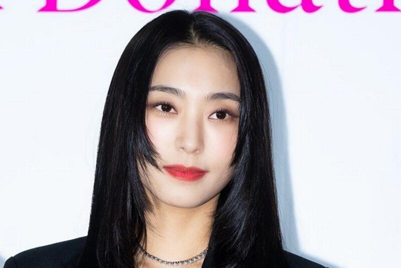 「SISTAR解散」ボラ、待望のカムバックで涙の海に