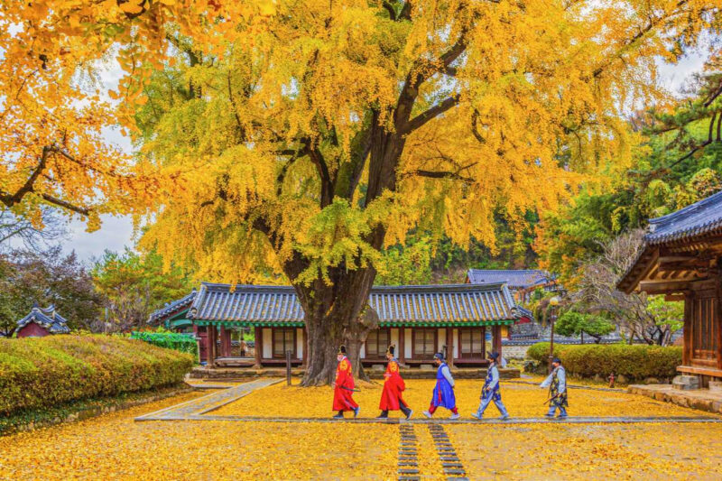 知る人ぞ知る！晩秋の風情を贅沢に楽しむ11月の穴場旅行先