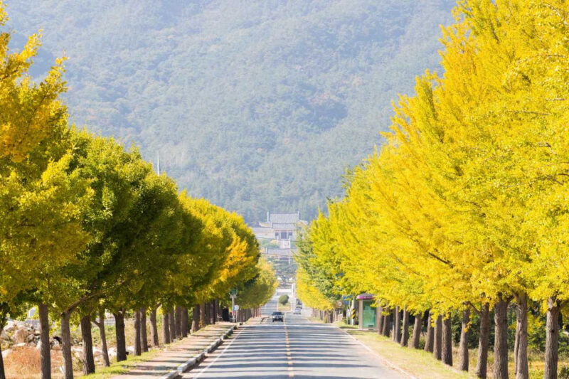 11月のおすすめ旅行先5選、こんなに魅力的な場所が！