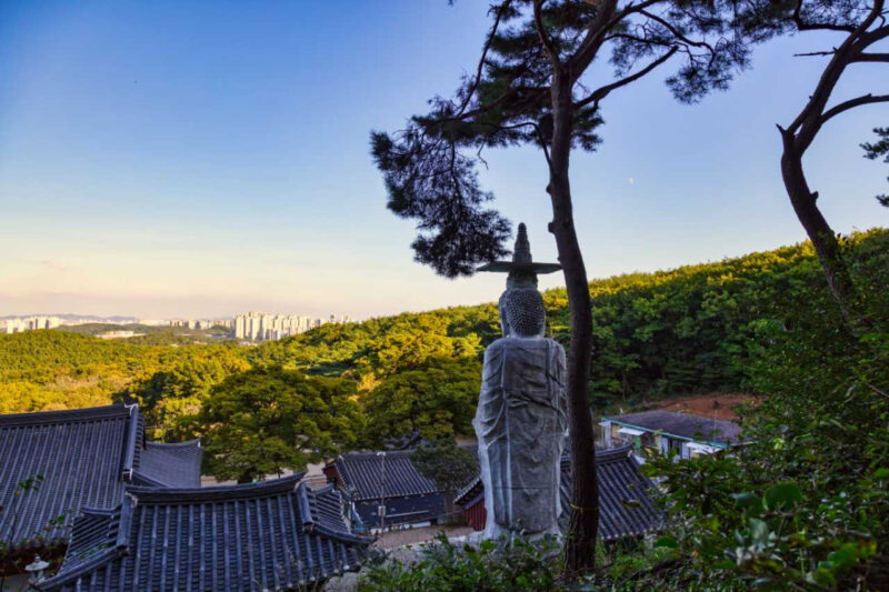 空港がある島に新羅時代の寺院?意外なギャップが魅力の週末旅行先