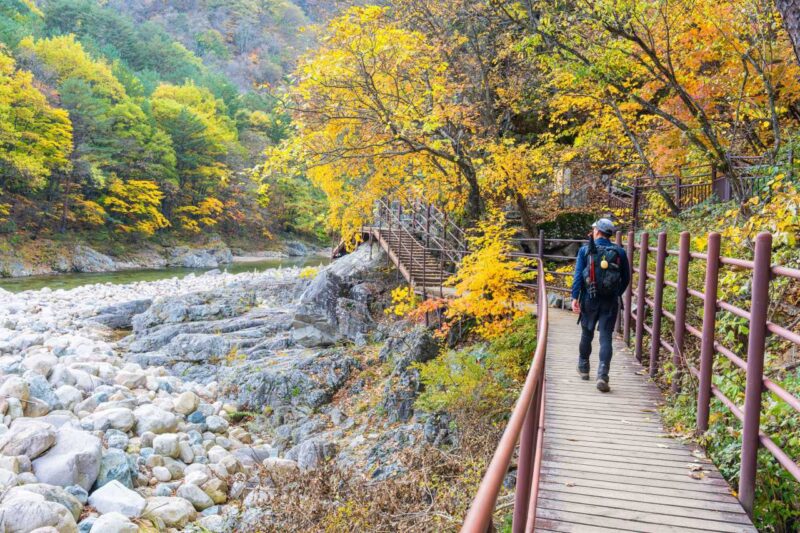 民族の名山、秋の紅葉シーズン到来！見頃時期とおすすめコース・持ち物まとめ