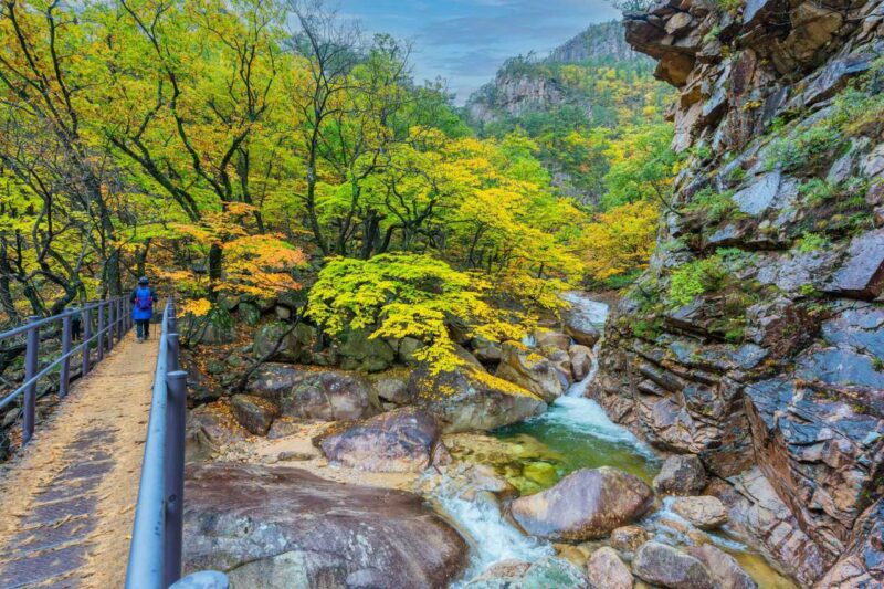 民族の名山、秋の紅葉シーズン到来！見頃時期とおすすめコース・持ち物まとめ