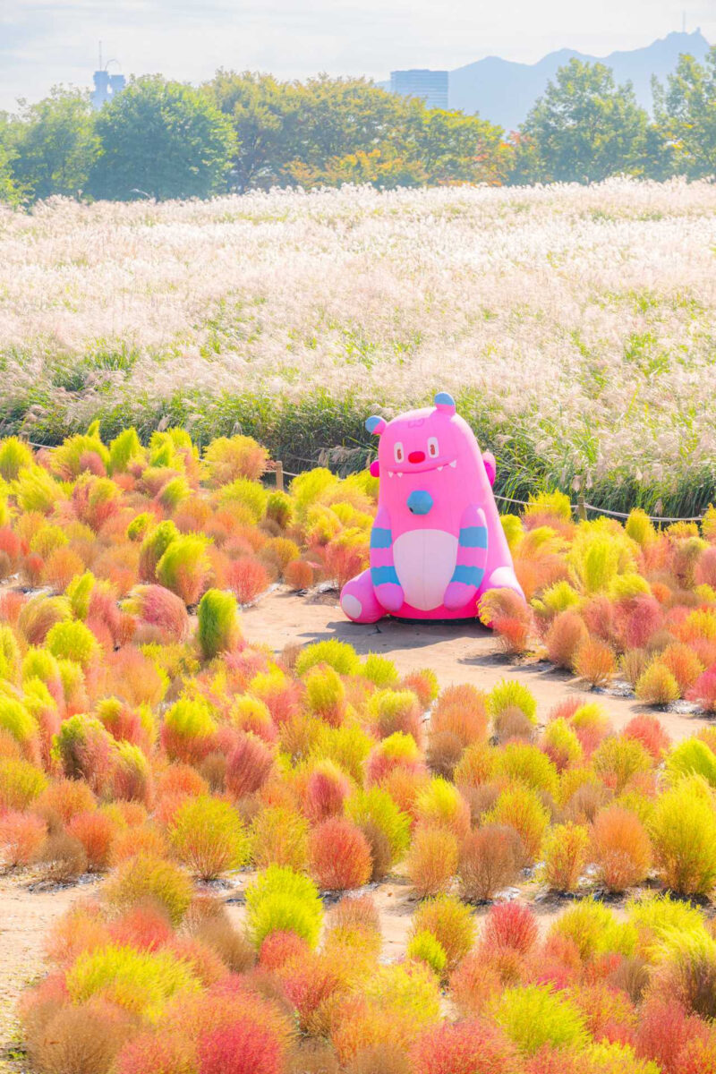 「カトクのプロフ写真」を変える日ですね〜