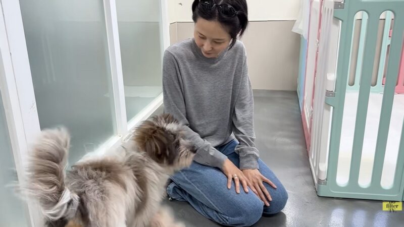 【第三子誕生】キム・ナヨン♥マイキュー、5人家族が完成…保護犬も迎え愛らしい末っ子と幸せ満開
