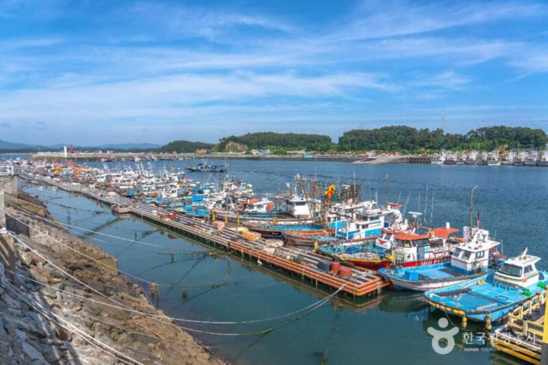 「秋の味覚」コノシロを求めて！この秋、絶対に行きたい絶品グルメ旅スポットBEST
