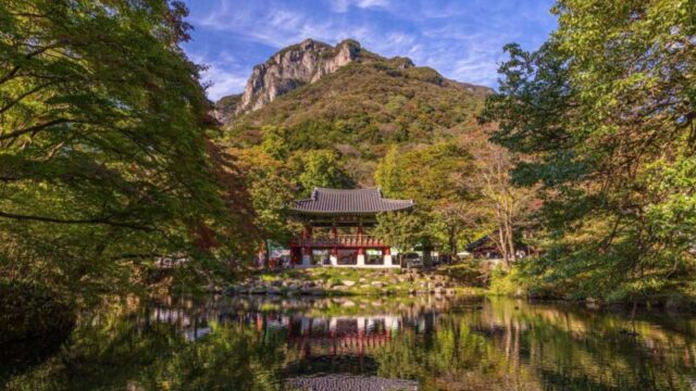 400年の歴史を持つ500本の木々が湖面に映る絶景とは？